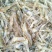 河虾冰鲜虾8只/kg以下