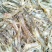 河虾冰鲜虾8只/kg以下