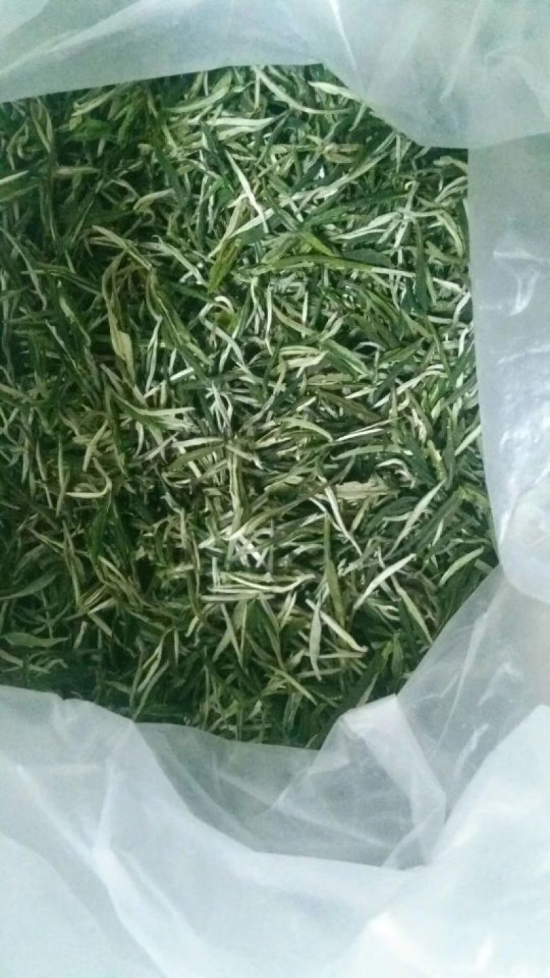本山茶特级