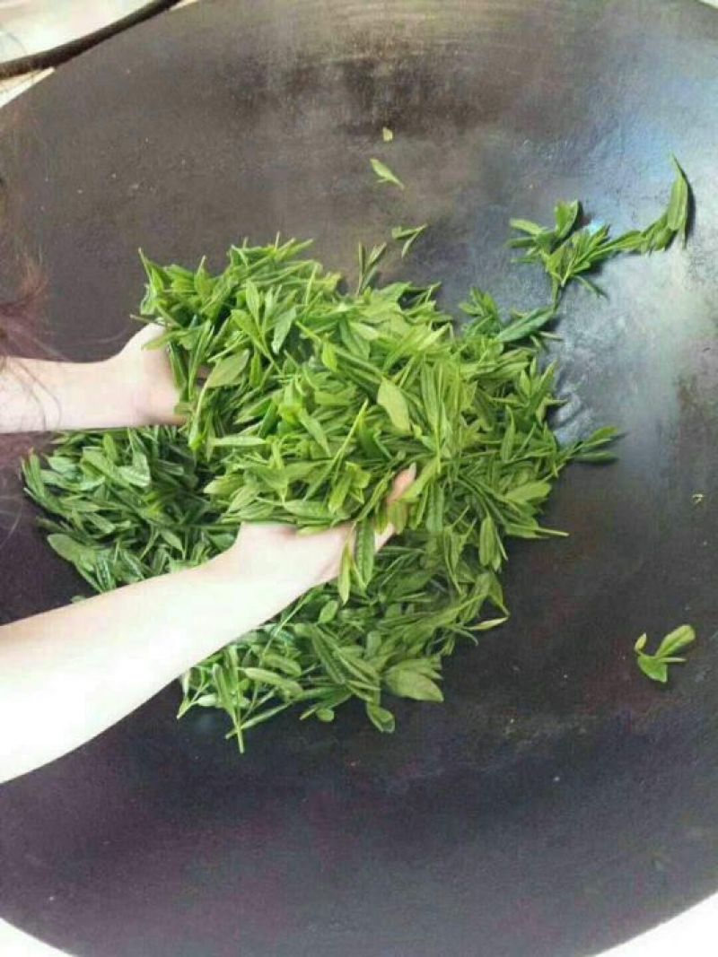 本山茶特级