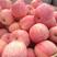 精品脆甜红富士苹果条红果全红果等全国发货保证质量