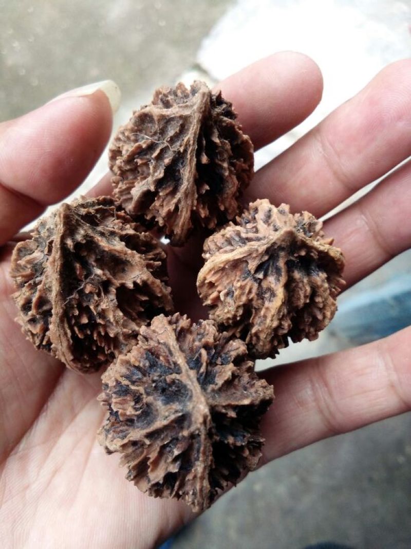 文玩核桃去皮后清洗纯干品