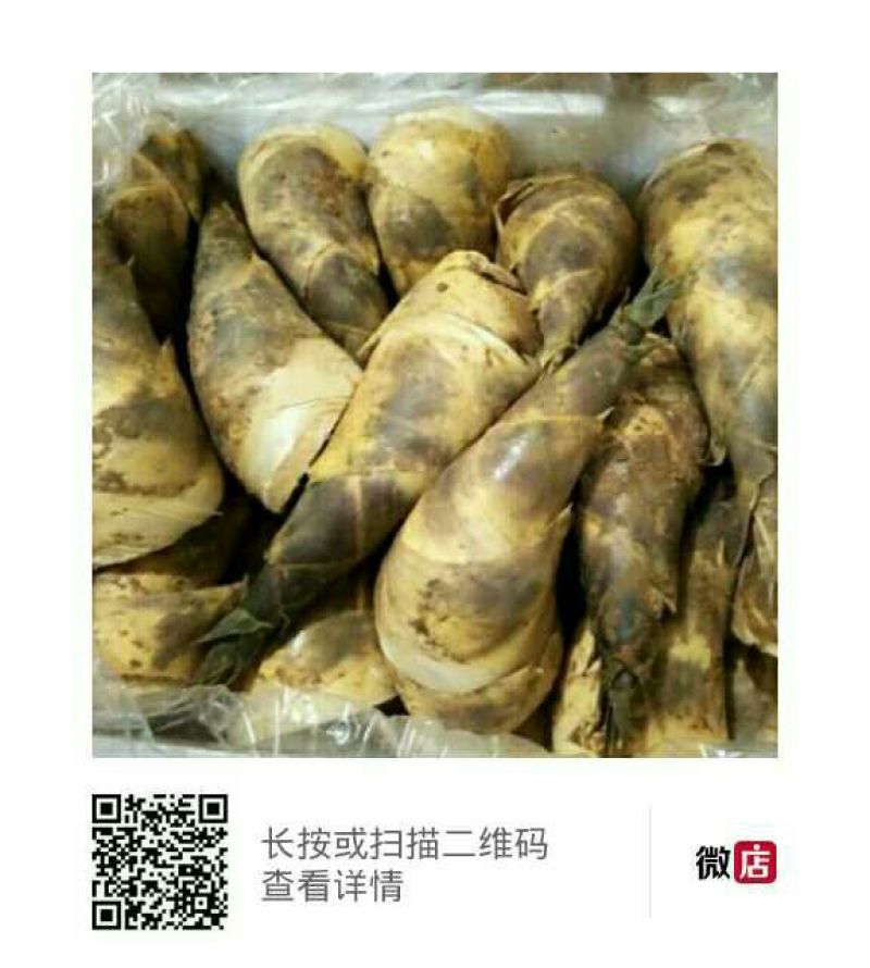 马蹄笋供应