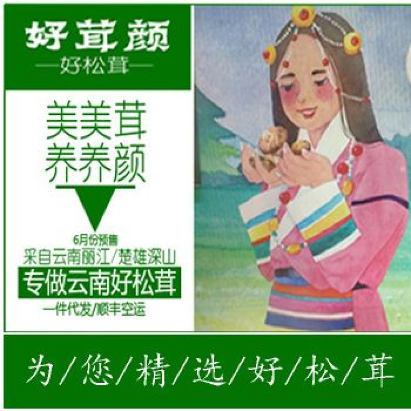 【聚便宜】云南松茸干片冻品，全国包邮，可代发