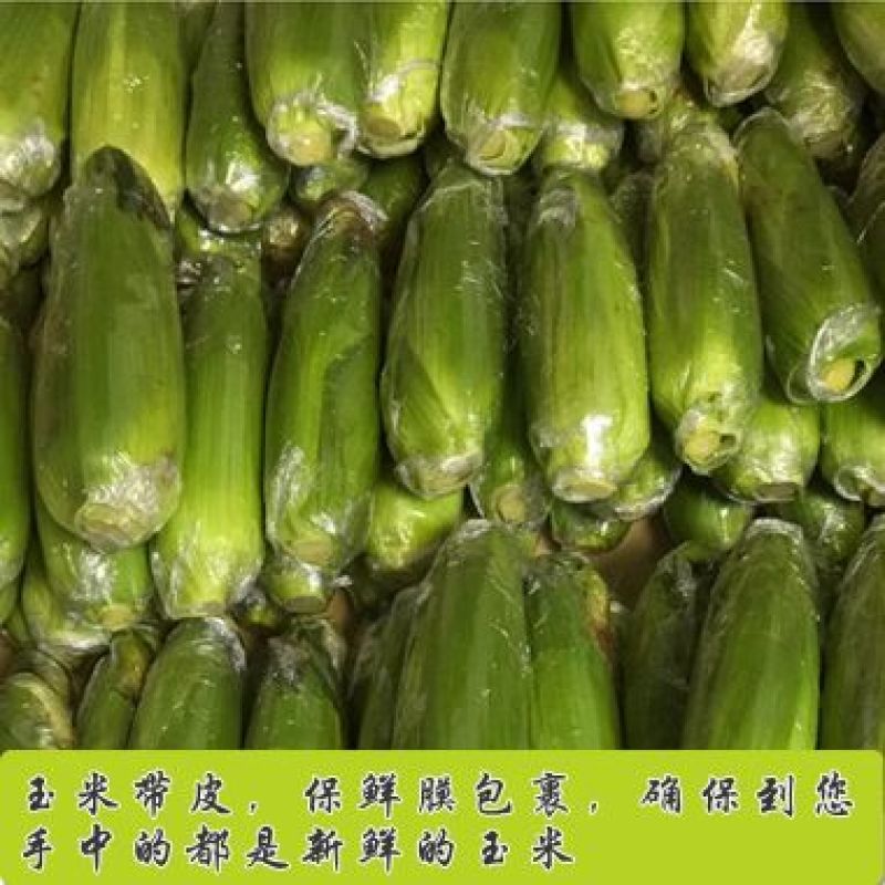 糯玉米20~30%