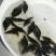桂花鱼桂花鱼苗鳜鱼苗鳌花苗翘嘴桂花鱼苗斑桂鱼苗