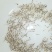 台湾泥鳅苗泥鳅水花苗泥鳅孵化场生长速度快存活率高