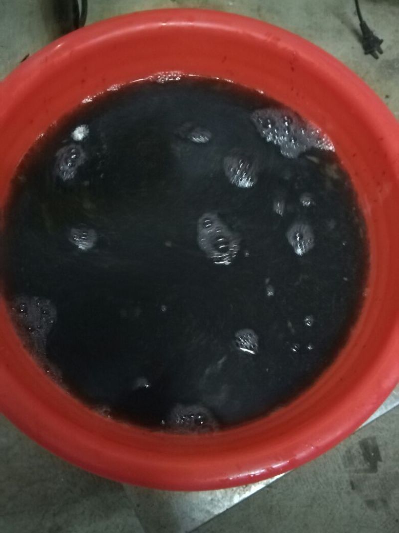 台湾泥鳅苗泥鳅水花苗泥鳅孵化场生长速度快存活率高