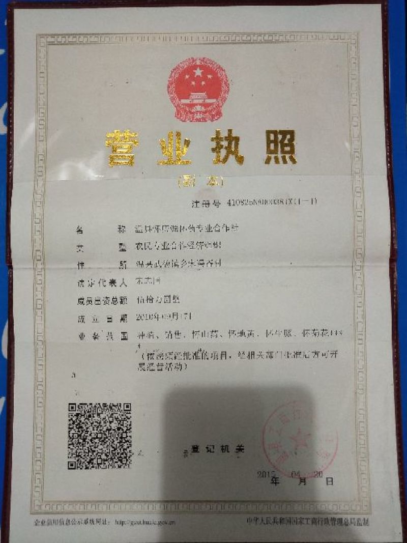 干菊花