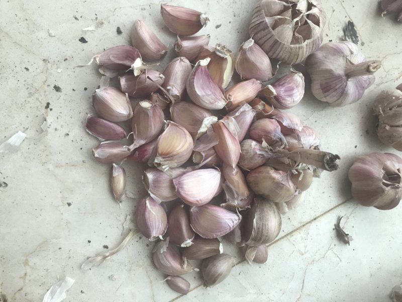大蒜3.2cm~3.8cm干蒜