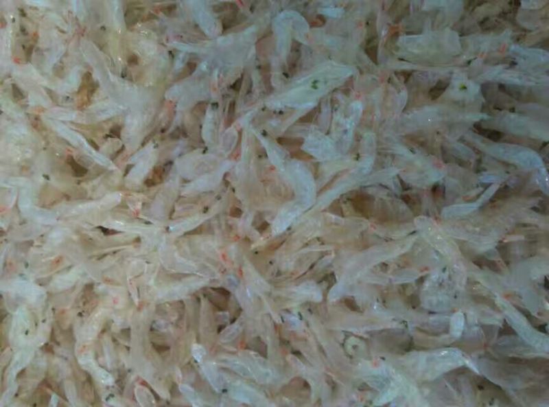 虾皮特级