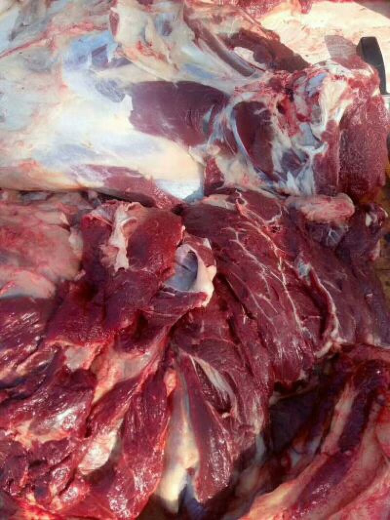 马肉鲜货