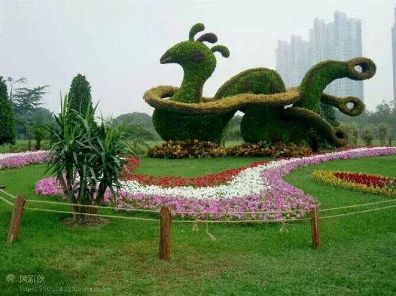 草坪草