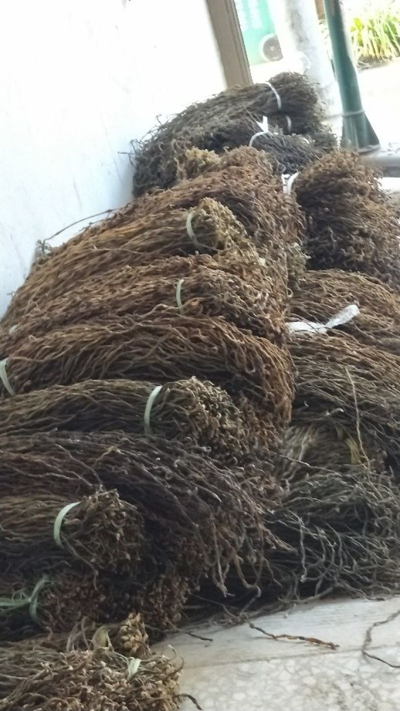 干豆角（2020年新货，质量上成）