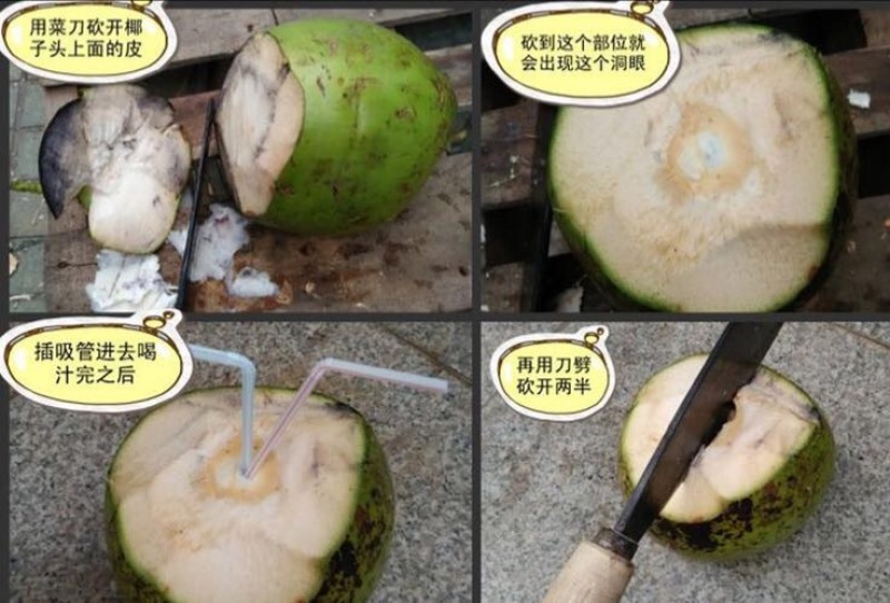 高种椰子5~6斤
