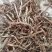 牡丹皮，商洛粉丹皮，选条，切片，药厂投料无硫粉丹皮