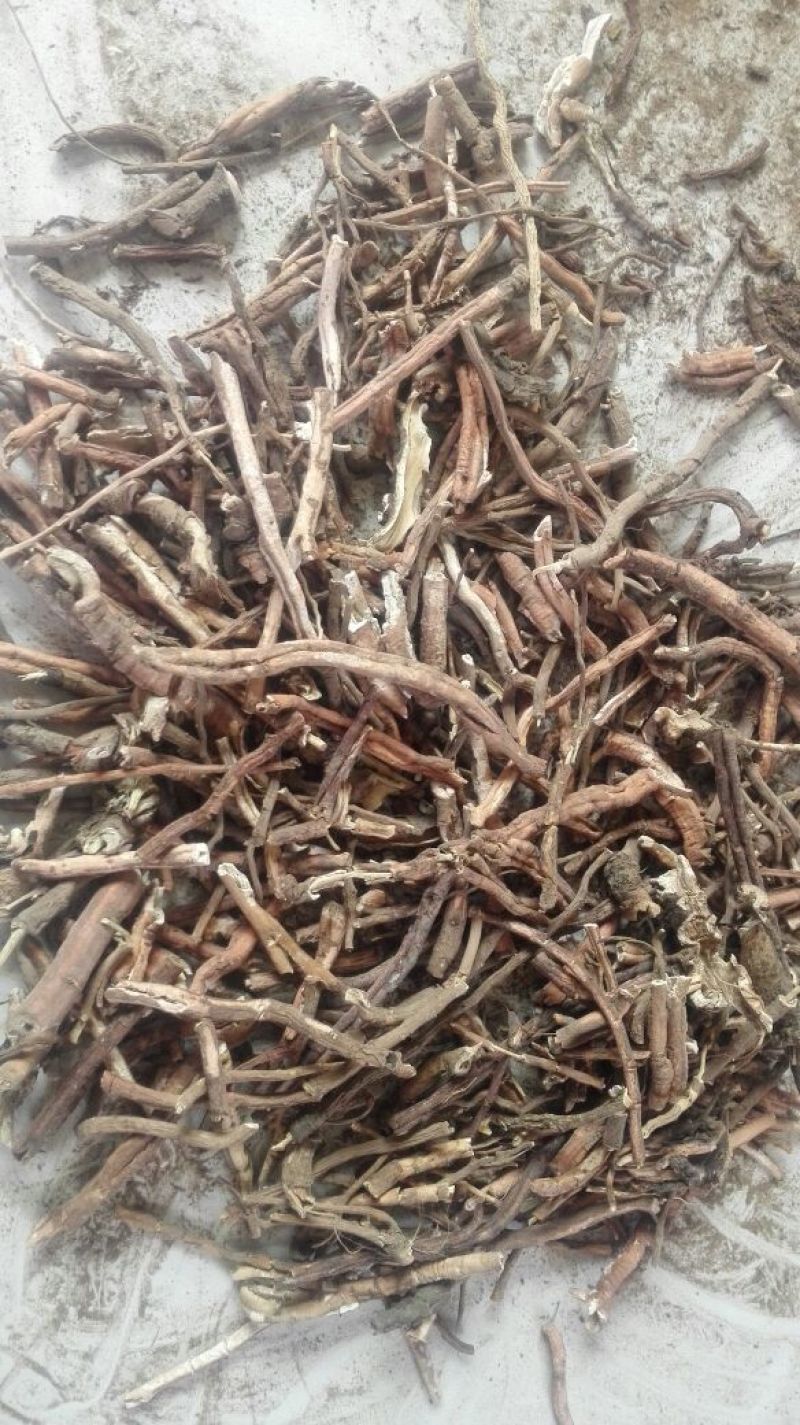 牡丹皮，商洛粉丹皮，选条，切片，药厂投料无硫粉丹皮