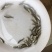 鲫鱼苗3~5公分