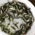 鲫鱼苗3~5公分