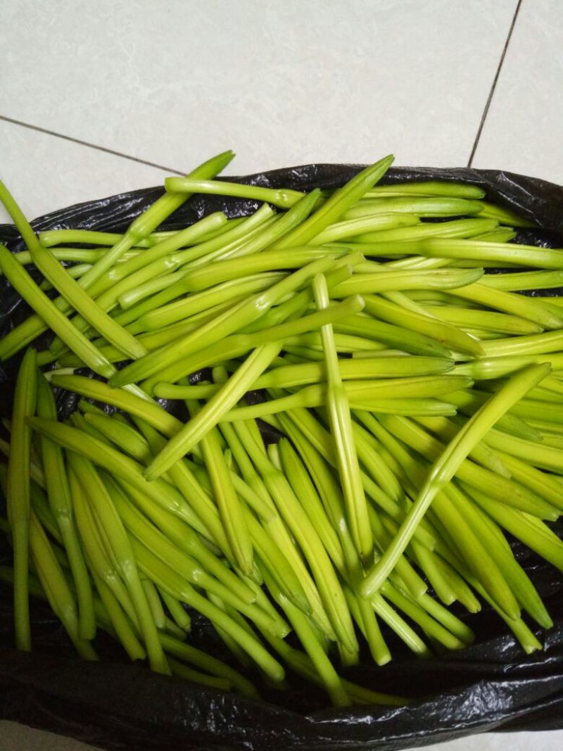 黄花菜袋装一级