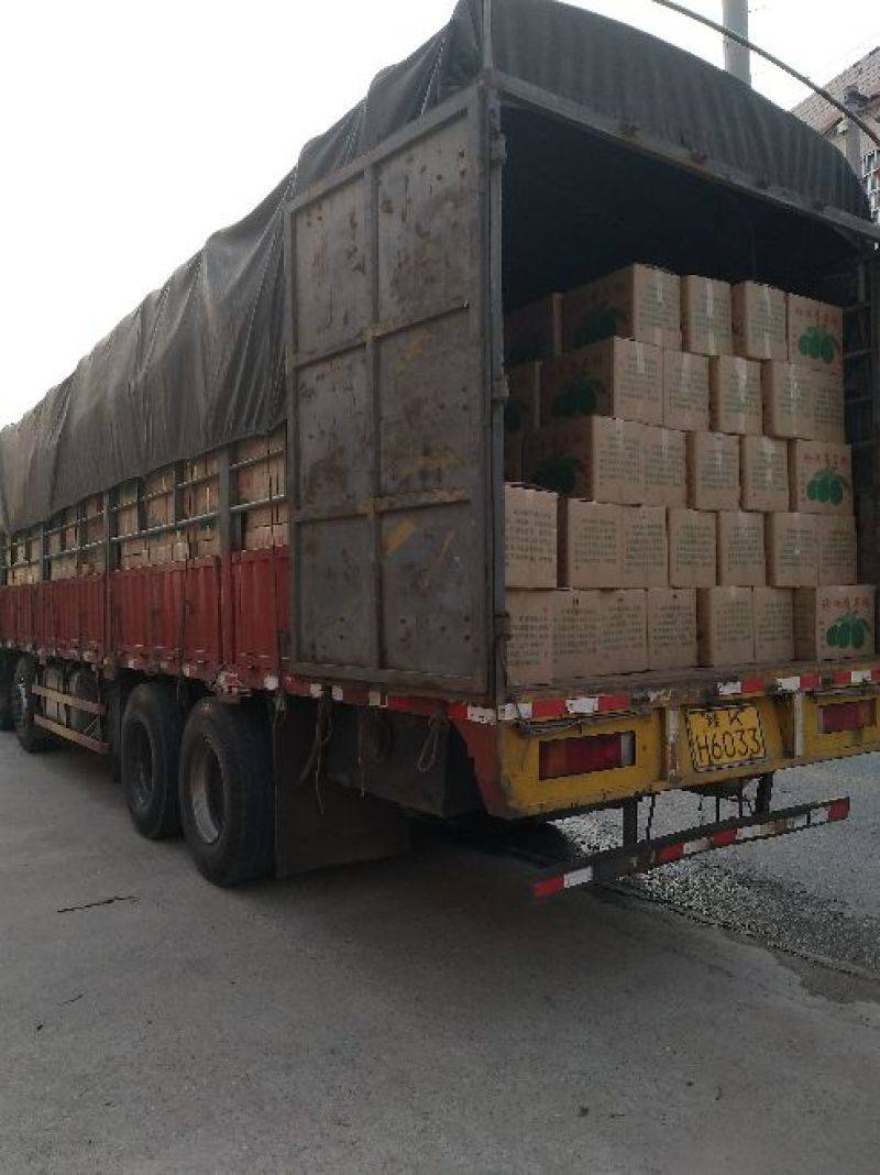 产地发货5000亩、番石榴新树果产地发货、