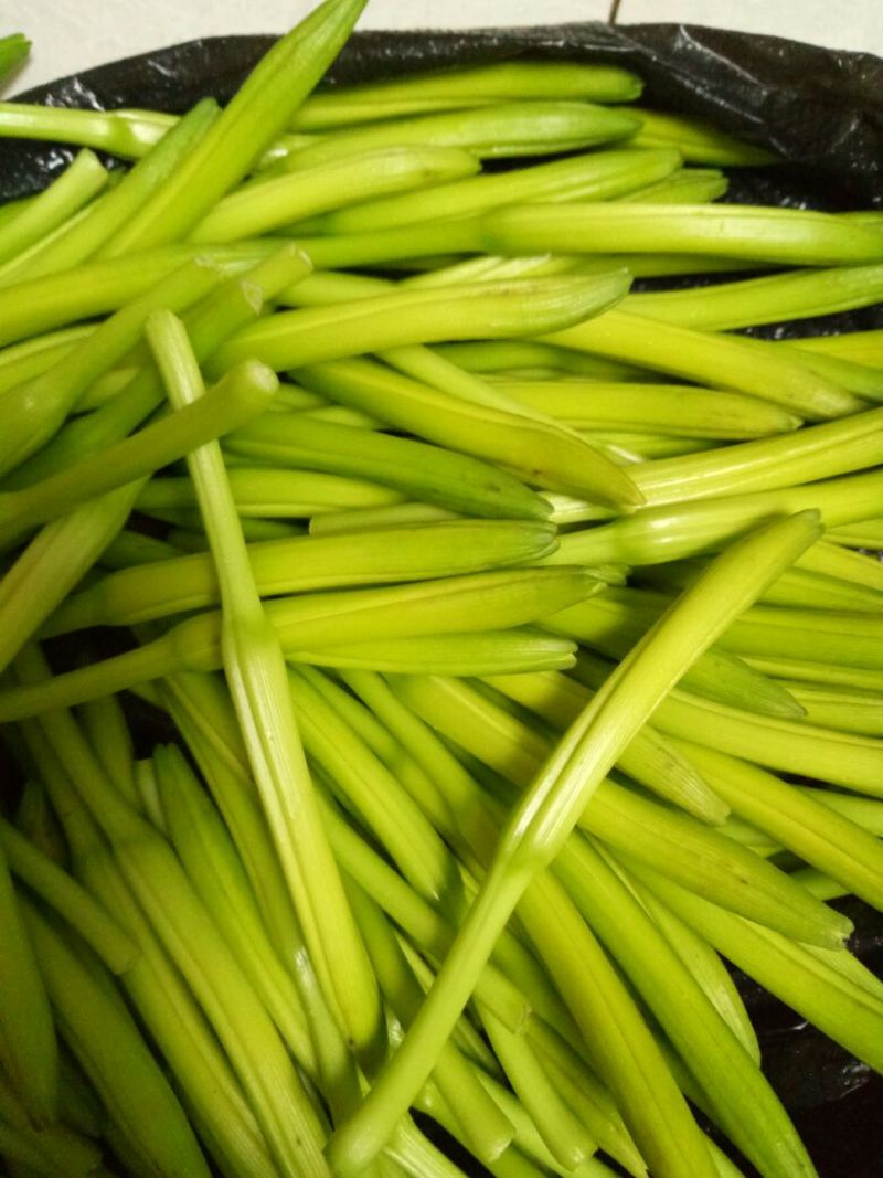 黄花菜袋装一级