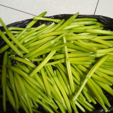 黄花菜袋装一级