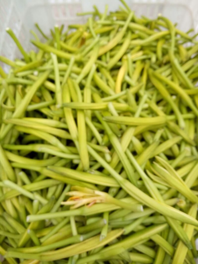黄花菜袋装一级