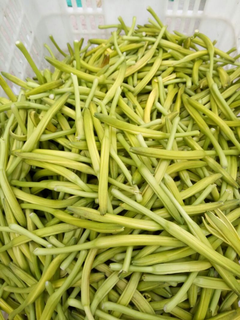 黄花菜袋装一级