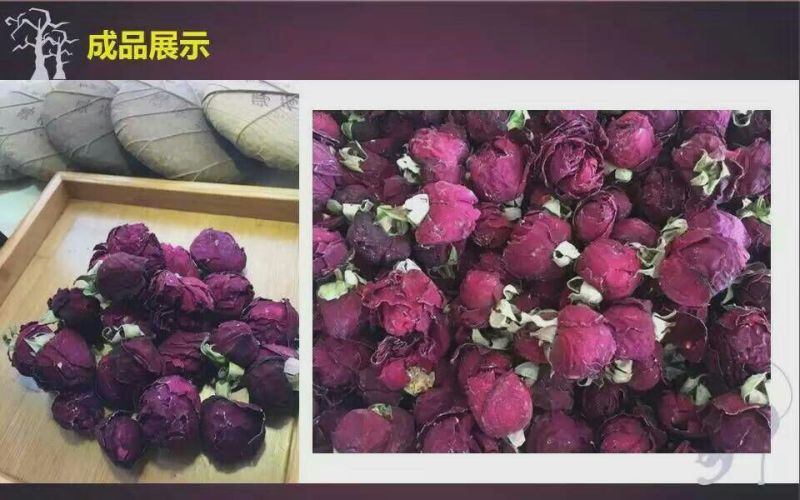玫瑰花茶
