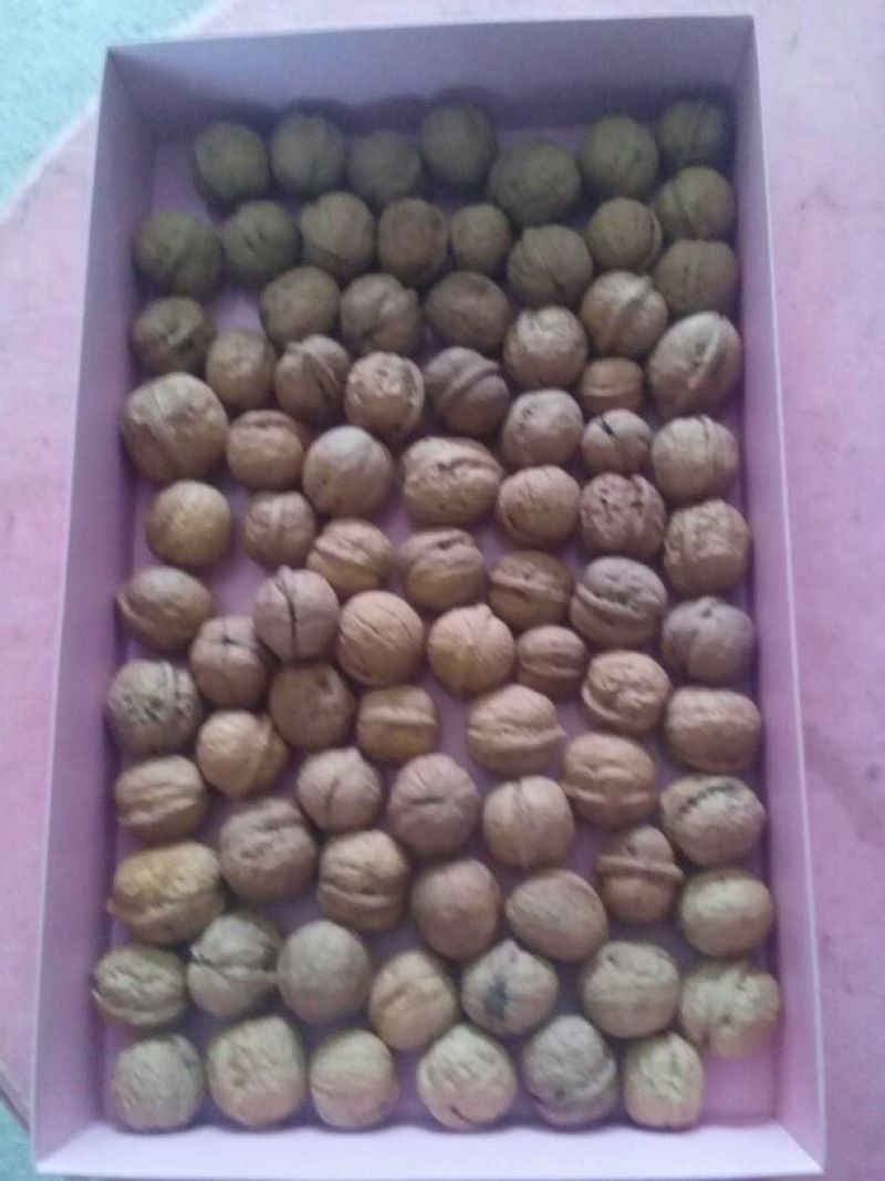 薄皮核桃30mm以上去皮