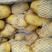 荷兰十五土豆精品1到3，2到4小土豆价格合理，质量上乘