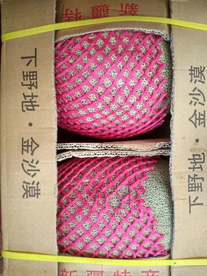 西州蜜瓜3斤以上椭圆形