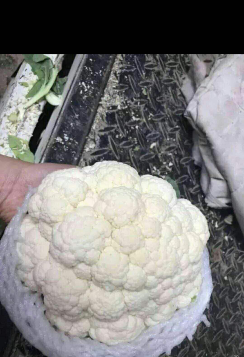 菜花