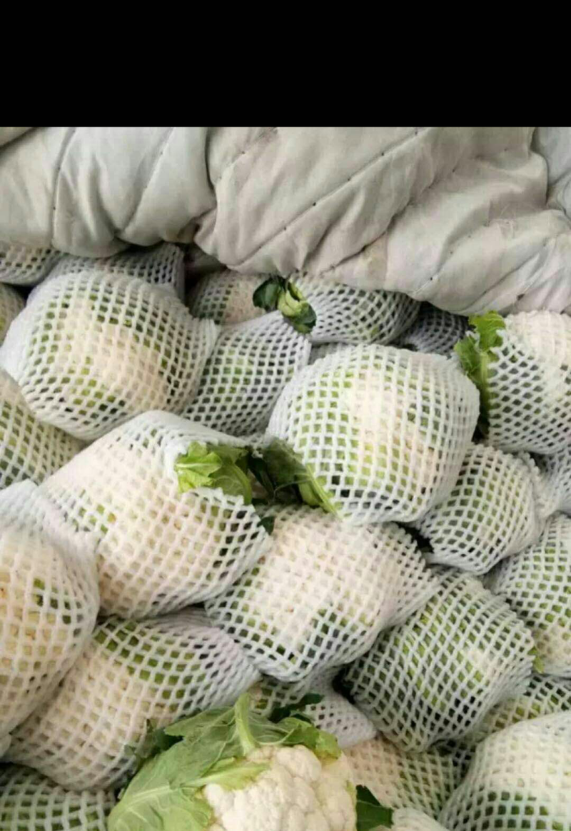 菜花