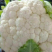 菜花