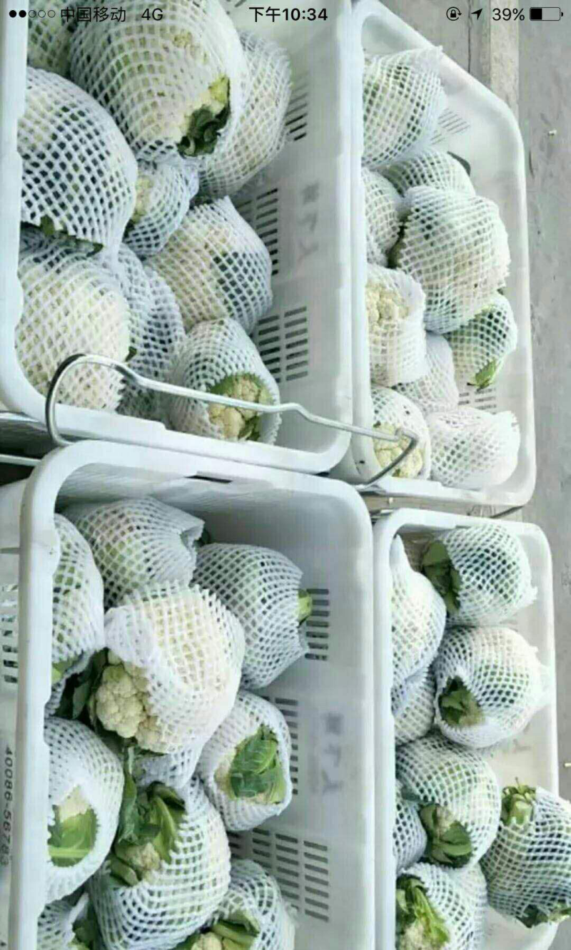 菜花