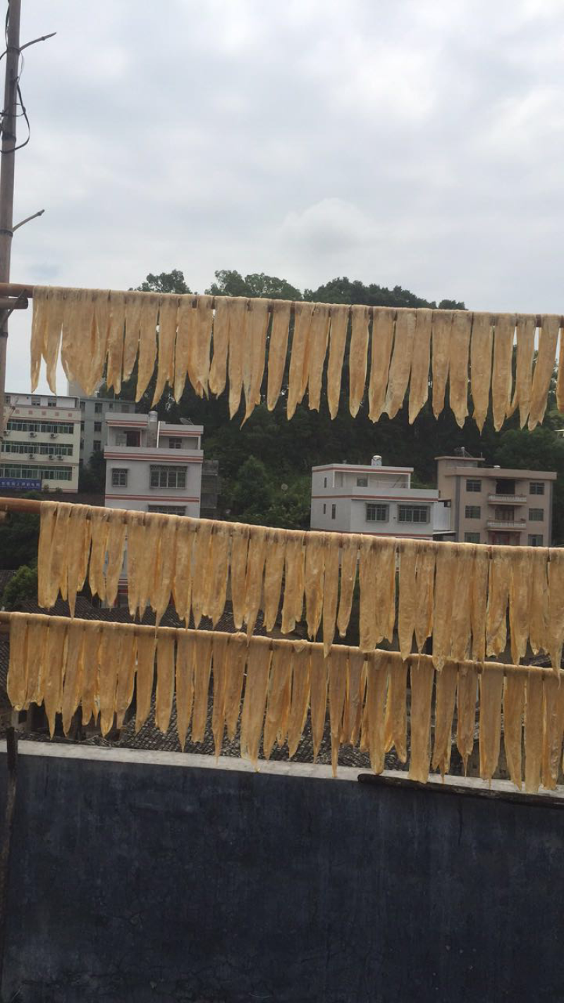 供应腐竹