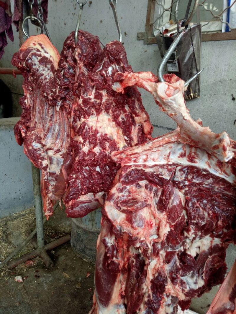 驴肉鲜货
