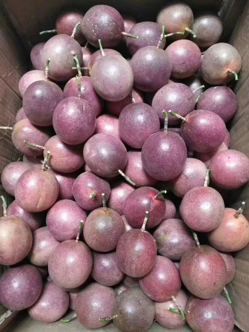 百香果