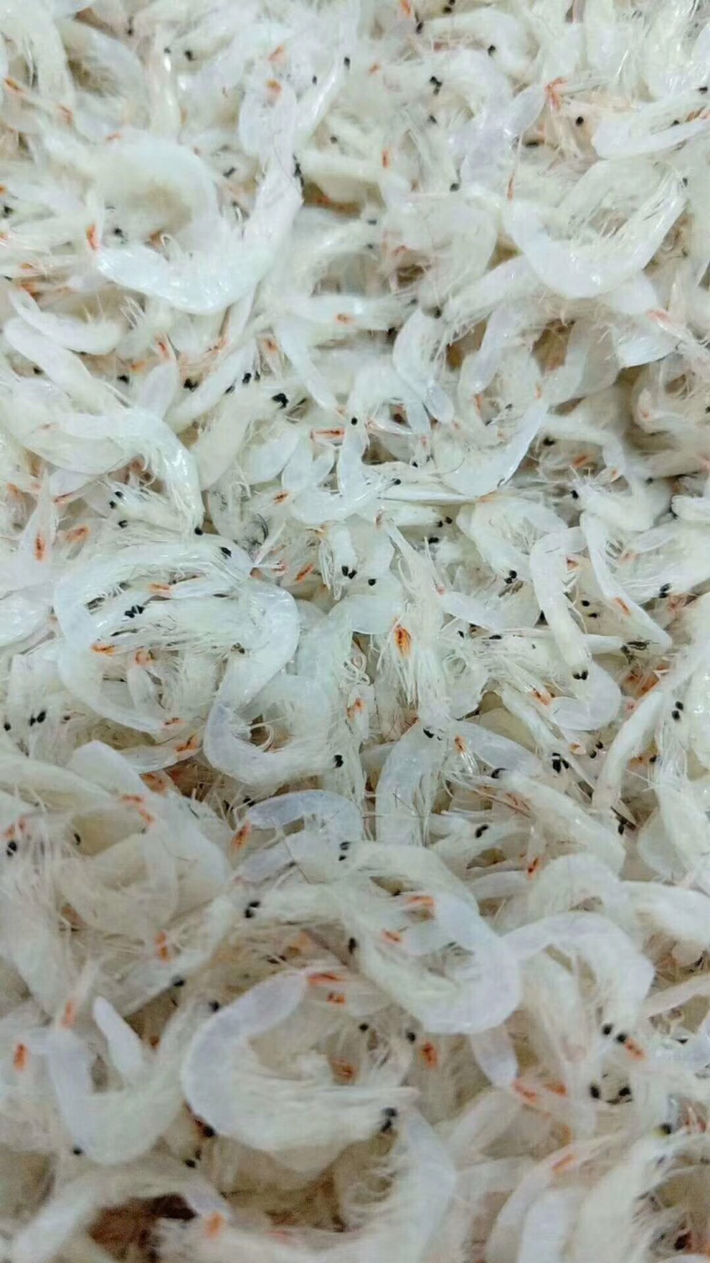 鱿鱼丝