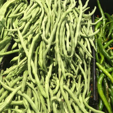 一级豆王