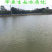 生态养殖甲鱼2斤以上105元/只包邮