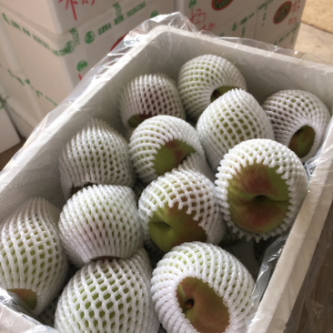 鹰嘴桃