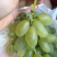 金手指葡萄🍇t
