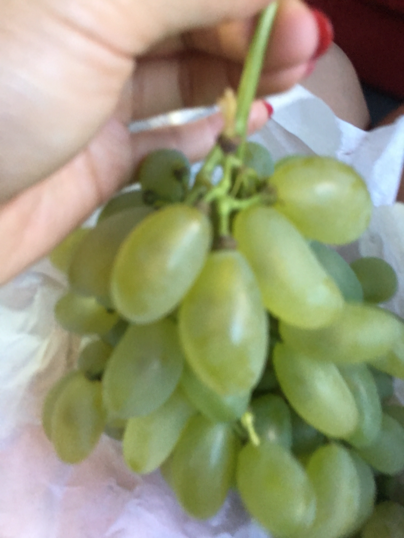 金手指葡萄🍇t