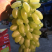 金手指葡萄🍇t