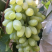 金手指葡萄🍇t