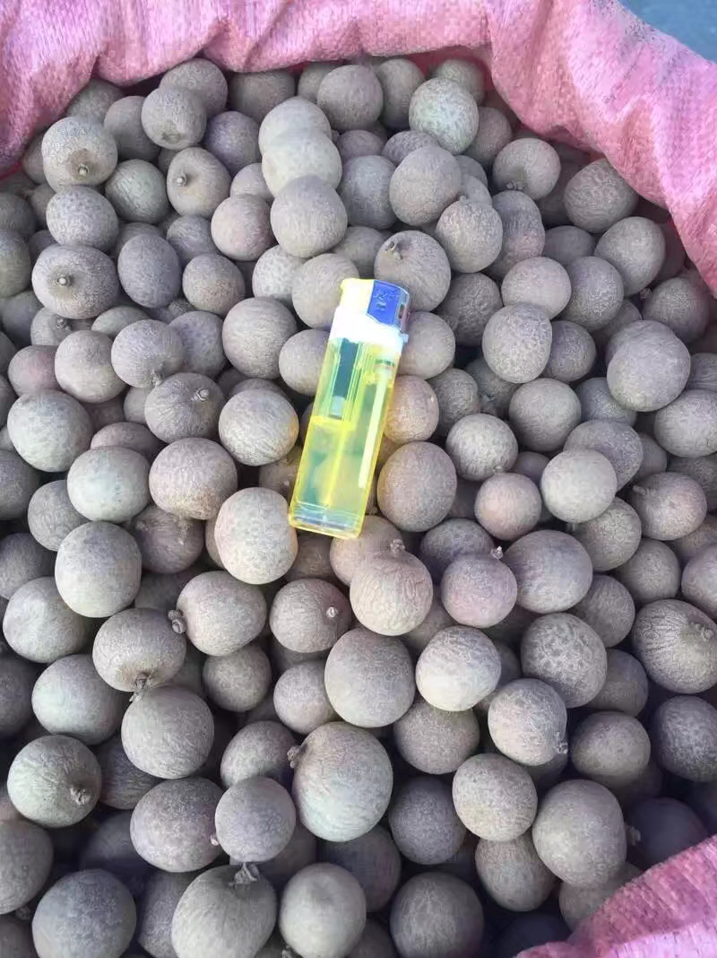 桂圆干