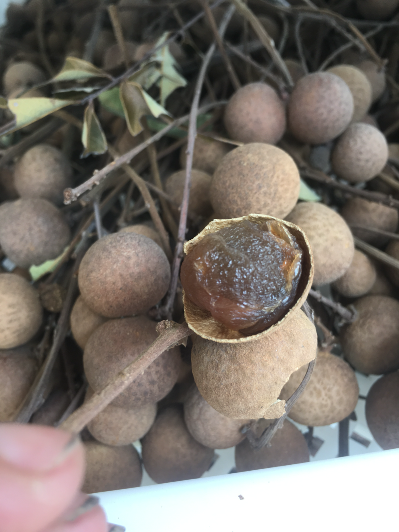 桂圆干